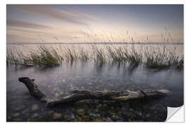 Vinilo para la pared Lake Constance