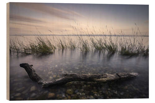 Puutaulu Lake Constance