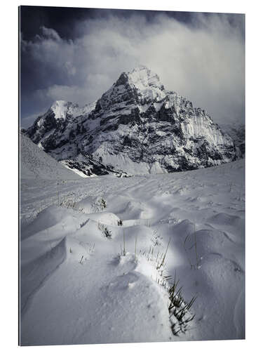 Quadro em plexi-alumínio Swiss mountains over Grindelwald