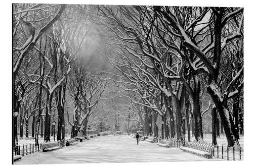 Tableau en aluminium Central Park im Winter