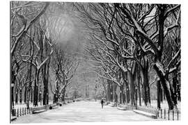 Gallery print Central Park im Winter