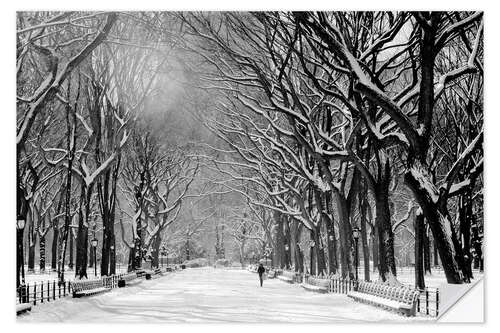 Självhäftande poster Central Park im Winter