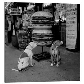 Gallery print Dogs Outside a Burger Joint in East Village New York