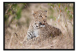 Gerahmter Kunstdruck Ruhender Leopard