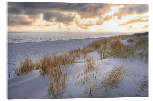 Akrylbillede Morning mood in the dunes on Sylt