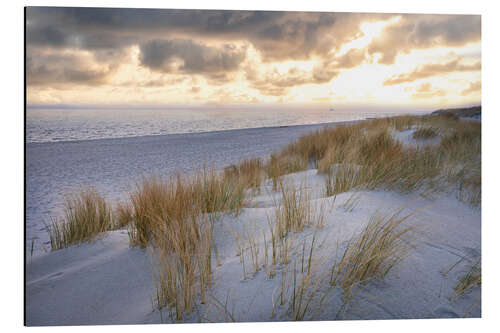 Aluminiumtavla Morning mood in the dunes on Sylt