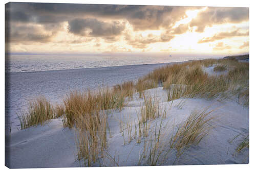 Canvas print Morning mood in the dunes on Sylt