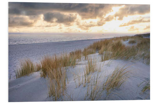 Foam board print Morning mood in the dunes on Sylt