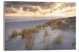 Holzbild Morgenstimmung in den Dünen auf Sylt