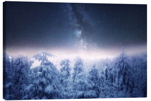 Canvas print Winter landscape with the Milky Way