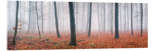 Acrylic print Red autumn leaves in the forest