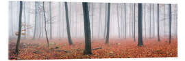 Quadro em acrílico Red autumn leaves in the forest