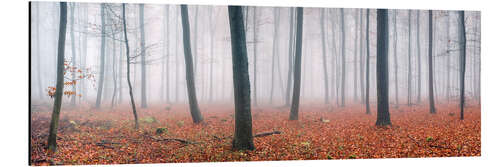 Stampa su alluminio Red autumn leaves in the forest