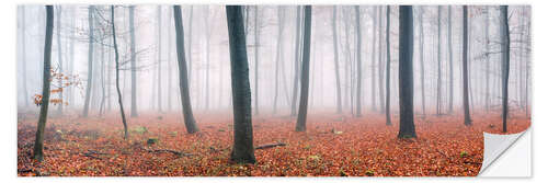 Wandsticker Rotes Herbstlaub im Wald