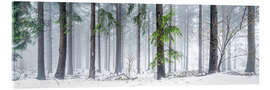 Acrylglasbild Wald Panorama im Winter