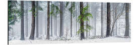 Tableau en aluminium Forest panorama in winter