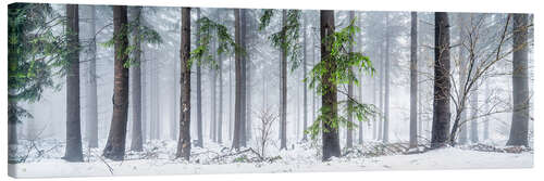 Canvas print Forest panorama in winter