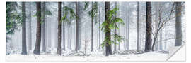 Wall sticker Forest panorama in winter