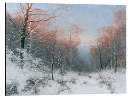 Tableau en aluminium Winter evening in the forest