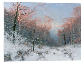 Foam board print Winter evening in the forest