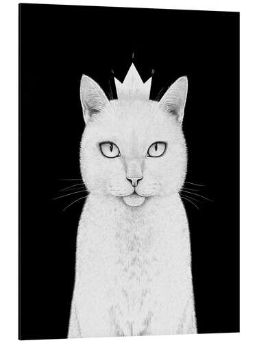 Aluminium print Queen cat