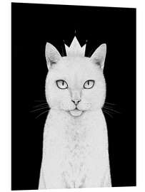 Foam board print Queen cat