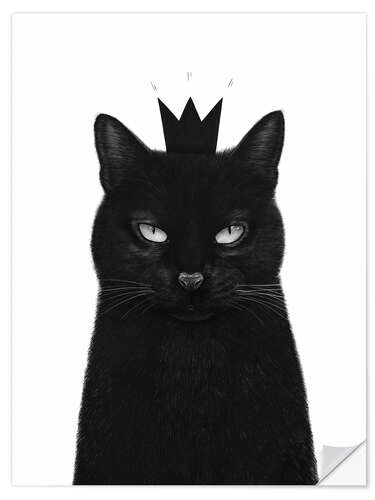 Selvklebende plakat King cat