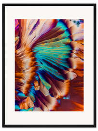 Gerahmter Kunstdruck Regenbogenkristalle