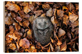 Holzbild Igel im Herbst