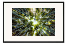 Gerahmter Kunstdruck Bambuswald