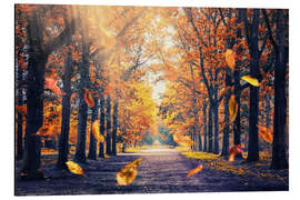 Magnettafel Herbstlicht