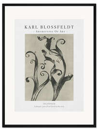 Gerahmter Kunstdruck Larkspur