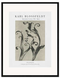 Framed art print Larkspur