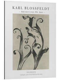 Magnettafel Larkspur