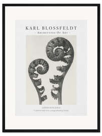 Gerahmter Kunstdruck Common male fern