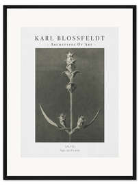 Gerahmter Kunstdruck Sage