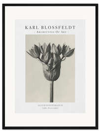 Gerahmter Kunstdruck Garlic