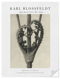 Wall sticker Cut-leaved teasel
