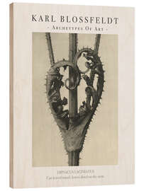 Wood print Cut-leaved teasel