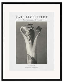 Gerahmter Kunstdruck Monkshood