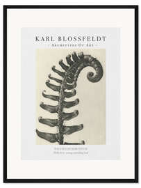 Gerahmter Kunstdruck Holly fern