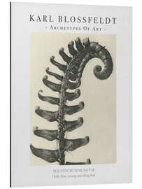 Magnettafel Holly fern