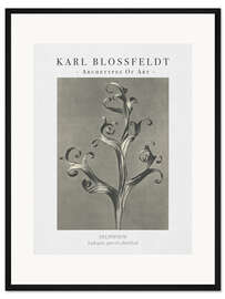 Gerahmter Kunstdruck Larkspur