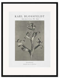 Framed art print Larkspur