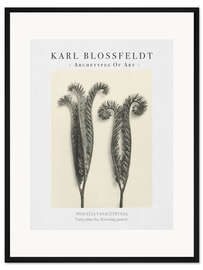 Gerahmter Kunstdruck Tansy phacelia