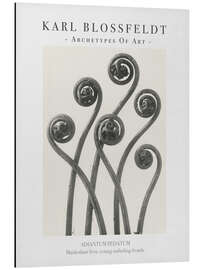 Magnettafel Maidenhair fern