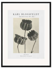 Gerahmter Kunstdruck Mallow familiy