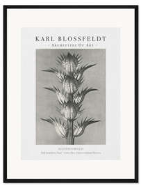 Gerahmter Kunstdruck Soft acanthus