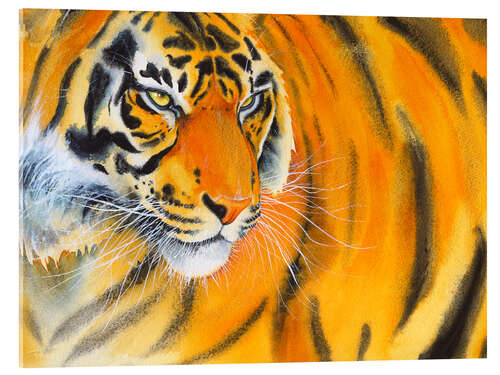 Quadro em acrílico Golden Tiger