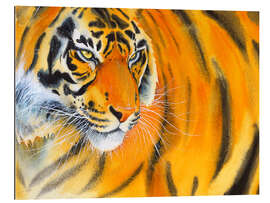 Gallery Print Goldener Tiger